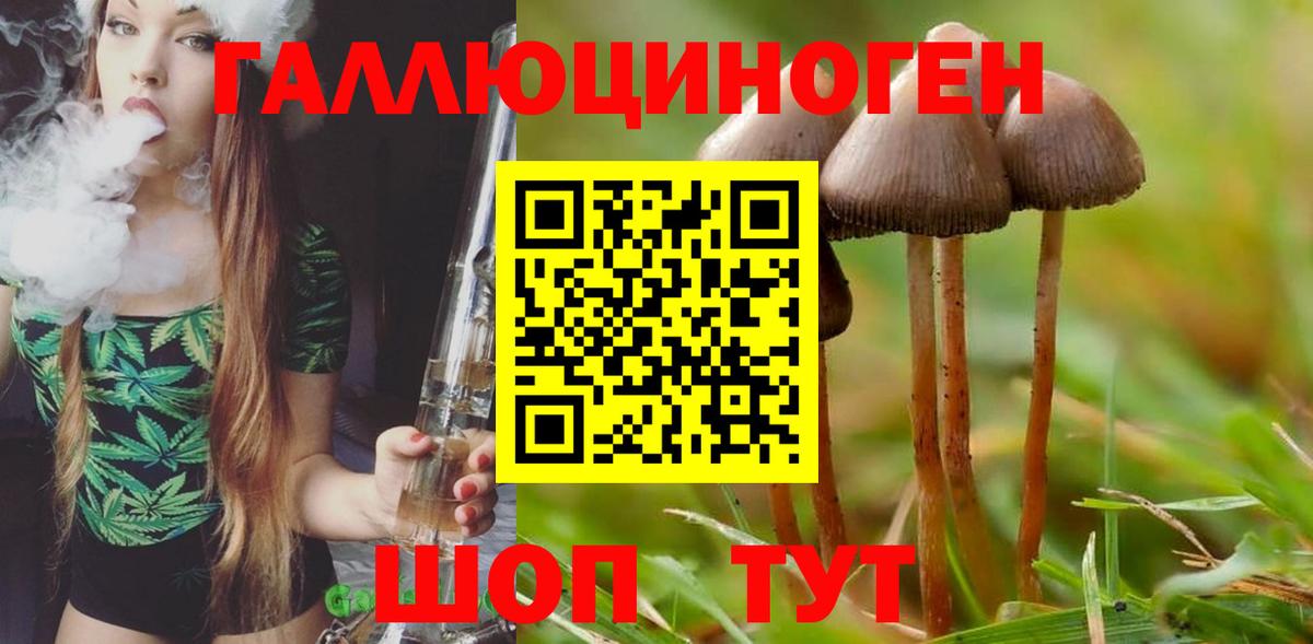 Псилоцибиновые грибы ЛСД  Вход с VPN  Галлюциногенные грибы Cubensis  Лесной 